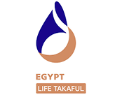 Insurance Provider 13