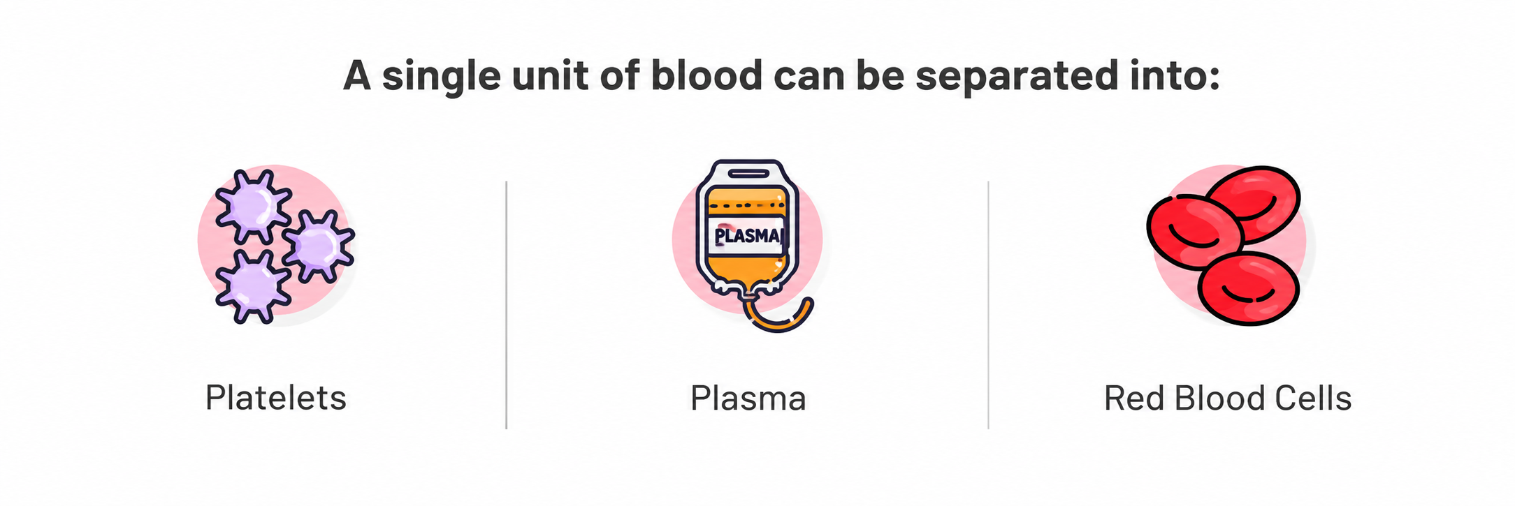One blood unit can be separated into: Red blood cells Platelets Plasma