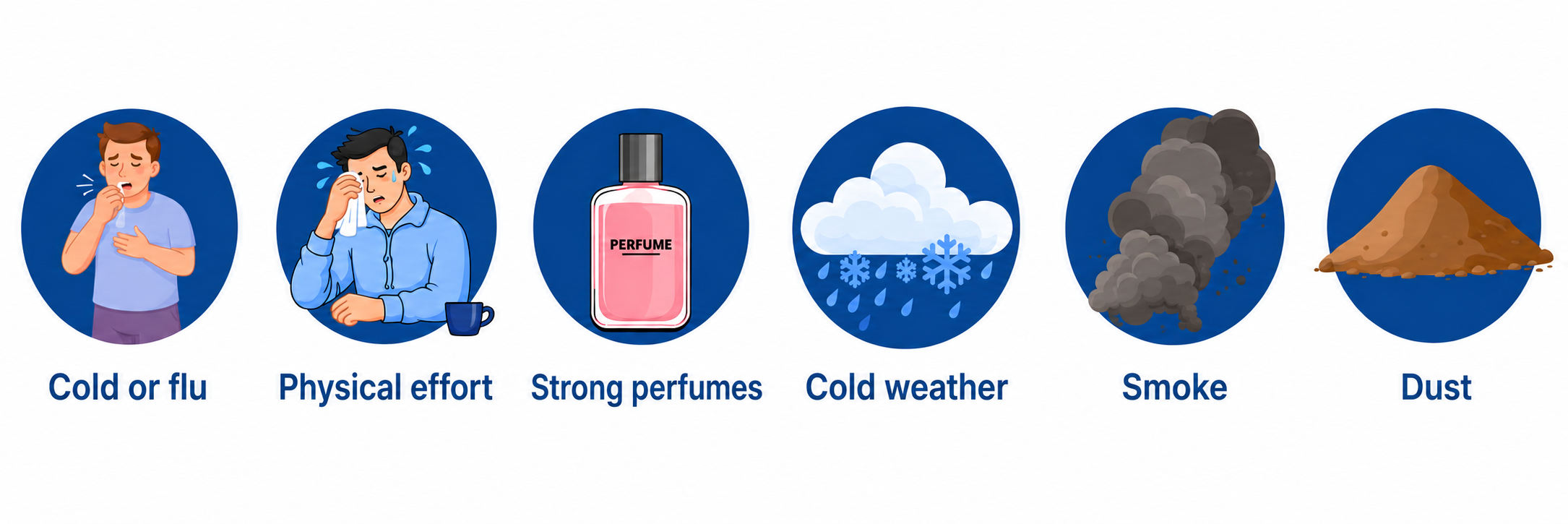 English infographic on a white background showing six common asthma triggers in blue circular icons: cold or flu, physical effort, strong perfumes, cold weather, smoke, and dust.