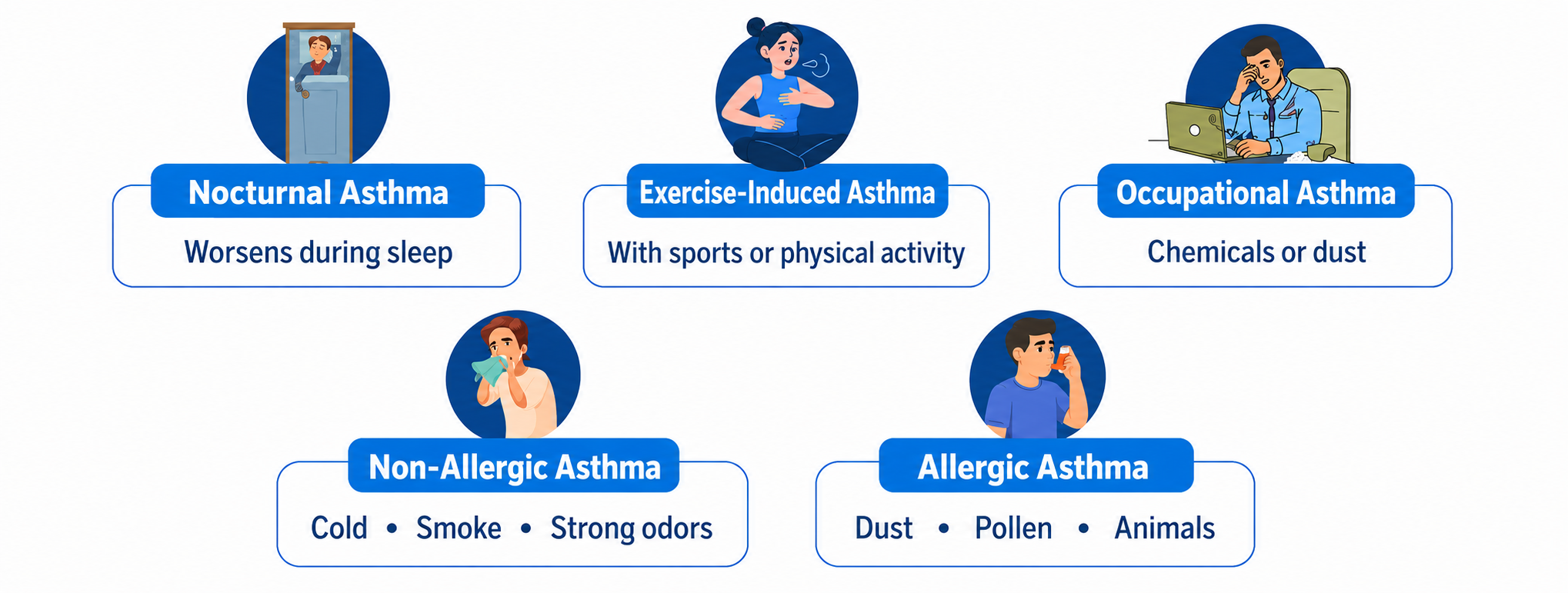 English infographic on a white background showing five types of asthma in blue rounded boxes with small patient illustrations. The types listed are nocturnal asthma, which worsens during sleep; exercise-induced asthma, triggered by sports or physical activity; occupational asthma, caused by chemicals or dust; non-allergic asthma, triggered by cold, smoke, and strong odors; and allergic asthma, triggered by dust, pollen, and animals.