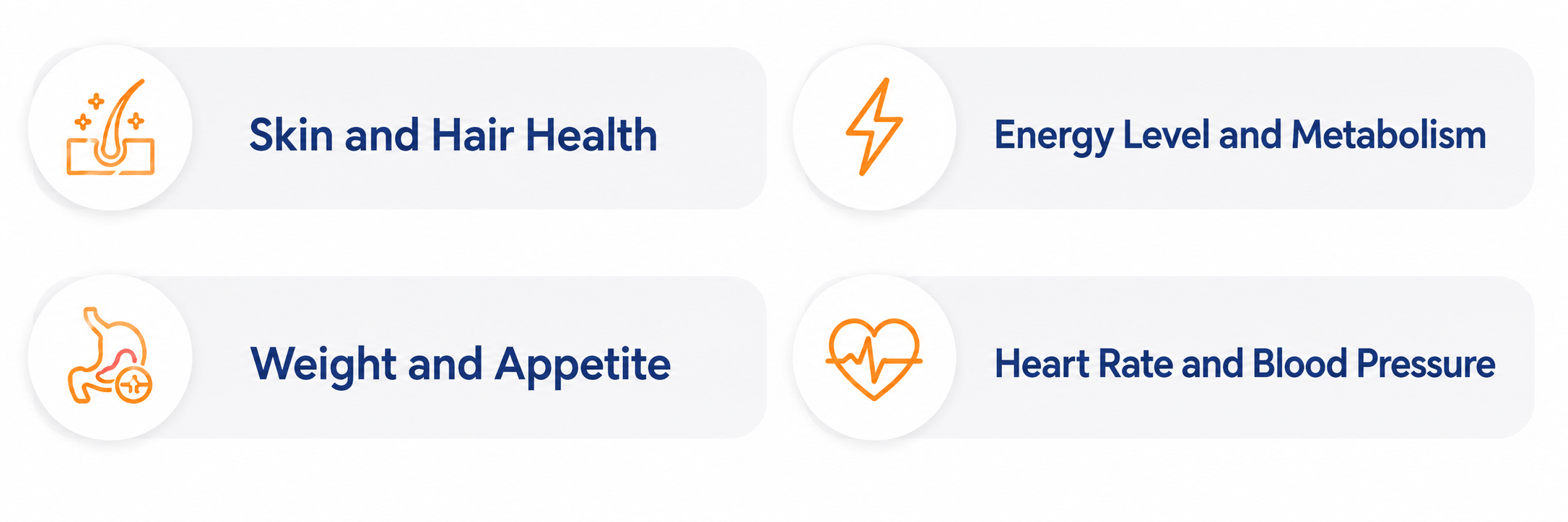 English infographic on a white background showing four health-related areas in rounded gray cards with orange line icons placed on the left of each text. The sections are: Skin and Hair Health, Energy Level and Metabolism, Weight and Appetite, and Heart Rate and Blood Pressure.