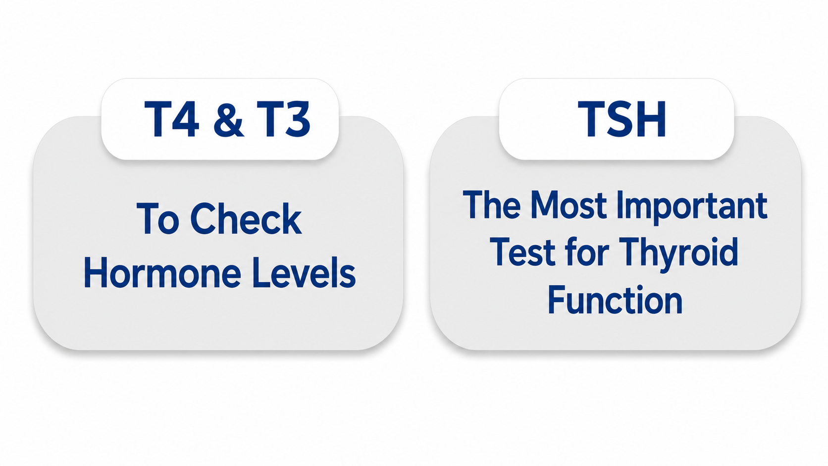 English infographic on a white background showing two rounded gray cards about thyroid blood tests. The left card is labeled “T4 & T3” and says “To Check Hormone Levels.” The right card is labeled “TSH” and says “The Most Important Test for Thyroid Function.”