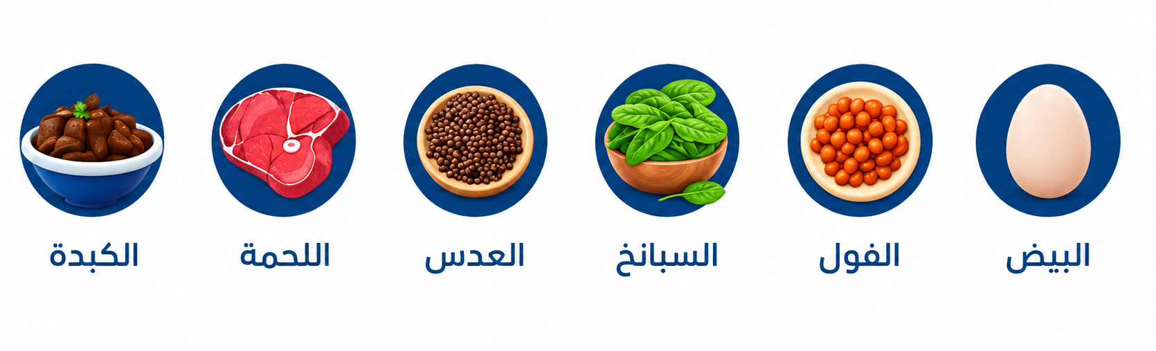 Arabic infographic on a white background showing six iron-rich foods, each displayed as a circular food illustration with a label underneath. The foods listed are liver, meat, lentils, spinach, fava beans, and eggs.