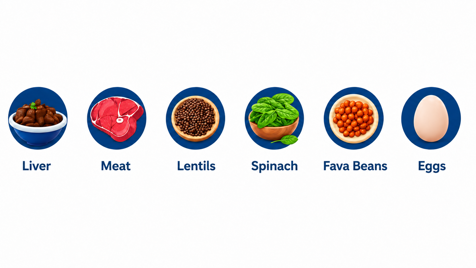 Infographic showing iron-rich foods that may help with anemia, including liver, meat, lentils, spinach, fava beans, and eggs. Each food is illustrated inside a blue circular icon with its name written below.