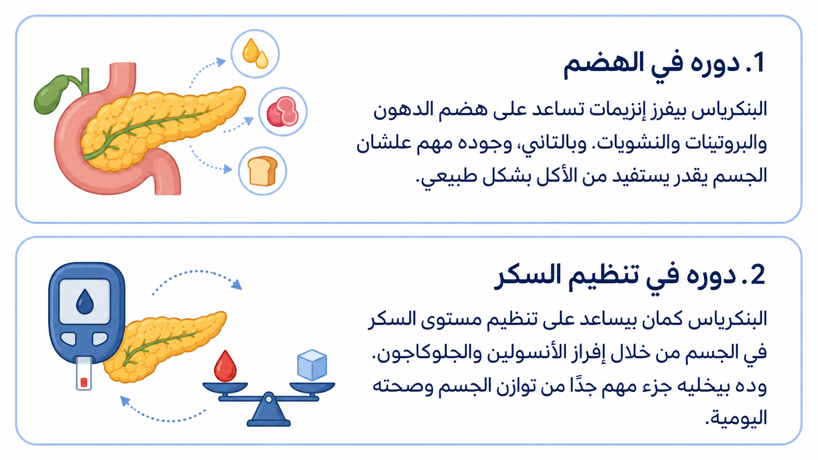 Arabic educational infographic on a white background explaining two roles of the pancreas. Two rounded cards with light-blue borders show flat medical illustrations on the left and navy Arabic text on the right. The first card explains the pancreas’ role in digestion by producing enzymes that help digest fats, proteins, and carbohydrates. The second card explains its role in regulating blood sugar through insulin and glucagon.