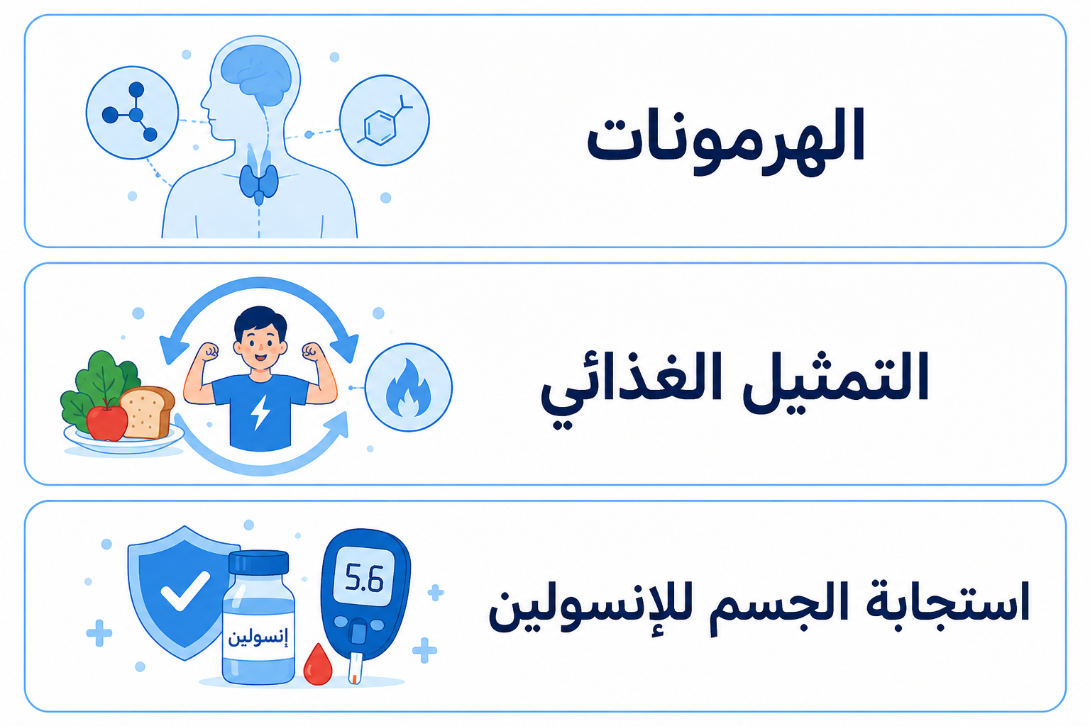 A clean blue-and-white Arabic medical infographic with three horizontal sections. The first shows a body outline with hormone-related icons and the text “الهرمونات”. The second shows a child with food and energy symbols, with the text “التمثيل الغذائي”. The third shows insulin, a glucose meter, and a protective shield, with the text “استجابة الجسم للإنسولين”.