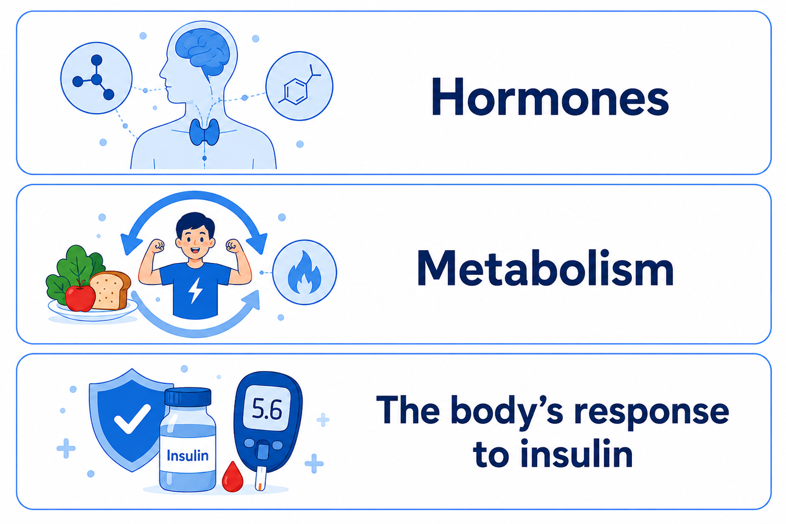 English medical infographic on a white background with three horizontal rounded cards outlined in blue. The first card shows a human silhouette with brain, thyroid, and molecule icons, paired with the text “Hormones.” The second card shows a person with energy arrows, food, and a flame icon, paired with the text “Metabolism.” The third card shows an insulin bottle, glucose meter, blood drop, and shield icon, paired with the text “The body’s response to insulin.”